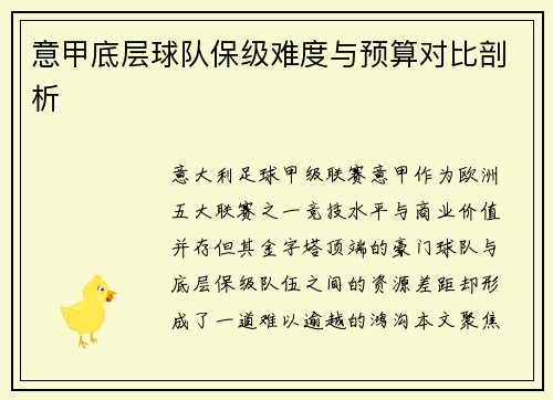 意甲底层球队保级难度与预算对比剖析