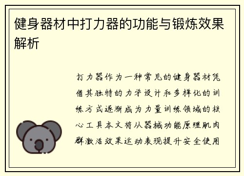 健身器材中打力器的功能与锻炼效果解析